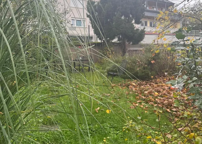 Olga Traben-Trarbach